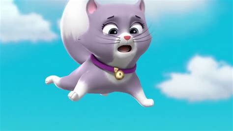 Paw Patrol - Pups Save the Cat Show - Skye Saves the Kitten - YouTube