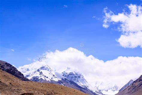 Bird with mountain stock photo. Image of idyllic, nature - 34521580