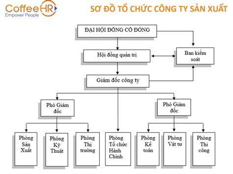 13 Mẫu sơ đồ tổ chức công ty phổ biến mới nhất 2023 [Tải về]