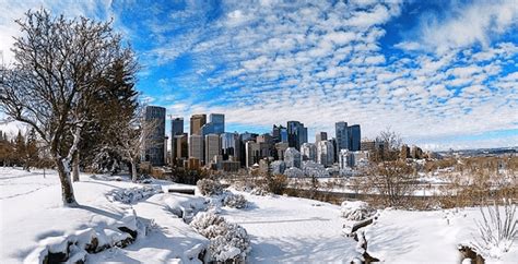 This is what Calgary looks like after a spring snowstorm hammered it | News