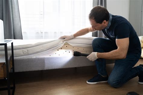 Bed Bug Prevention: Mattress Checks and Removal Methods | 2 Brothers Mattress