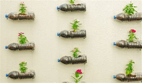 7 DIY plastic bottle planters for modern homes | Housing News