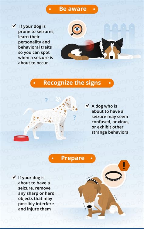 What to Do After Your Dog Has a Seizure | Canna-Pet