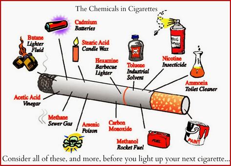 WomenStyles: The top 10 worst ingredients in cigarettes....think before ...