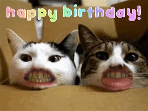 Happy Bday GIFs - Find & Share on GIPHY