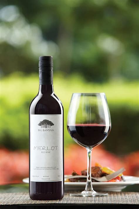 Best Red Wine Brands In Chennai Sale Online | www.pennygilley.com