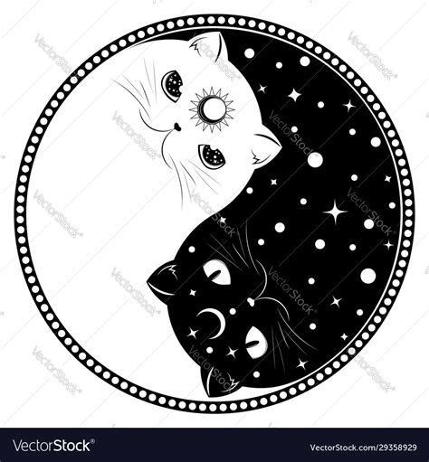 Yin yang cats Royalty Free Vector Image - VectorStock