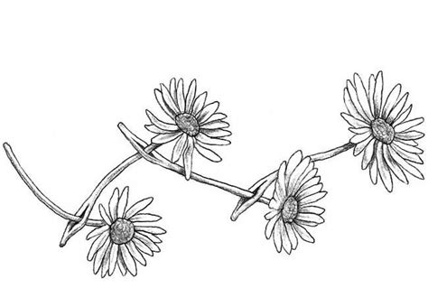 Flowers … | Daisy chain tattoo, Chain tattoo, Daisy tattoo