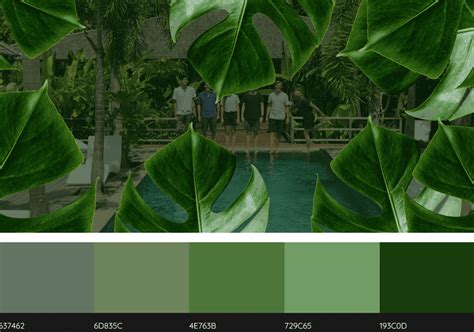 Blue Green Color Palette for Websites - ColibriWP Blog