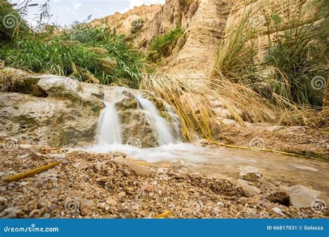 Waterfall in En Gedi Nature Reserve and National Park Stock Image - Image of king, natural: 66817031