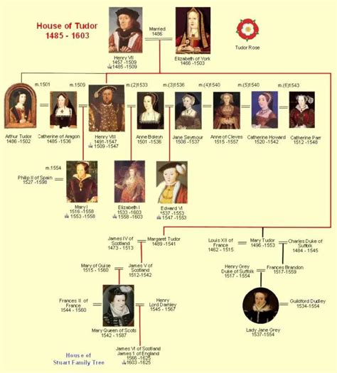 Todor family tree | Family tree, Tudor, European history