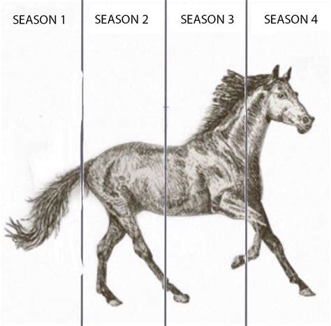 Horse Drawing Meme Template