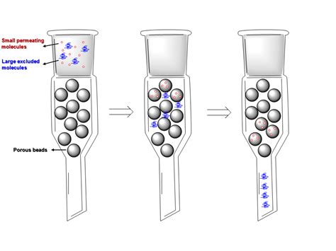 Gel permeation chromatography/ Size exclusion chromatography - ITN SNAL - Marie Curie Initial ...