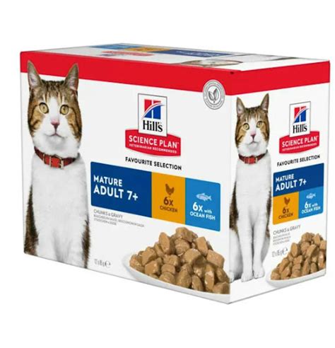 The best cat food for seniors 2024