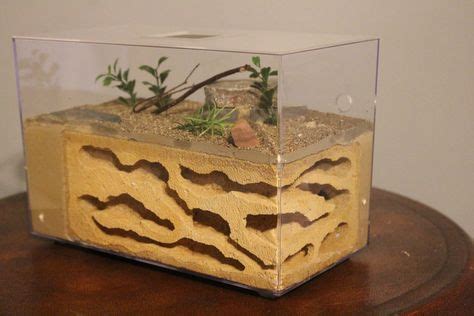 17 Best DIY Ant Farm images | Ants, Formicarium, Ant habitat