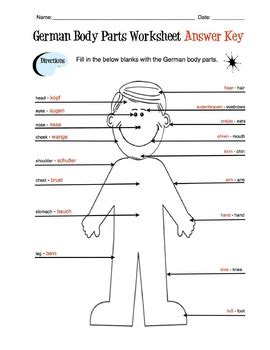 German Body Parts Label Worksheet & Answer Key by Sunny Side Up Resources