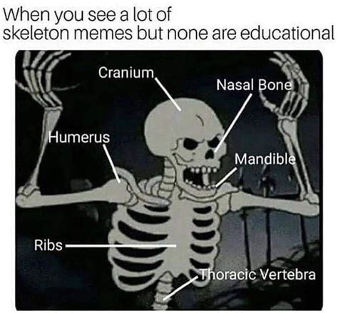 Get Ready for Some Spooky Skeleton Memes!