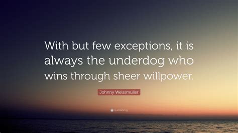 30+ Inspirational Quotes For The Underdog - Richi Quote