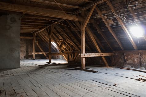 Mold in the attic: Is it dangerous?