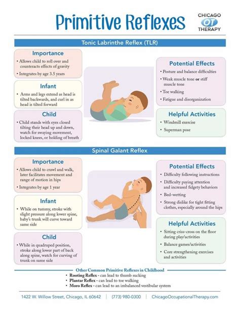 What are Primitive Reflexes? - Chicago Occupational Therapy | Occupational therapy kids ...