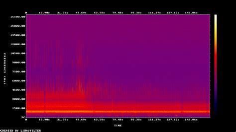 Daubenton's Bat - echolocation - adult male