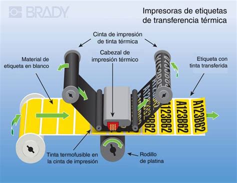 Térmica directa vs Transferencia térmica | BRADY