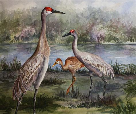 Sandhill Cranes On Alert Painting by Roxanne Tobaison - Pixels