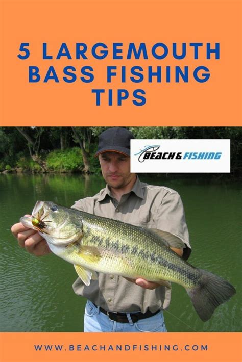 Best Bass Fishing Lures, Crappie Fishing, Fishing Life, Kayak Fishing, Fishing Tackle, Fishing ...