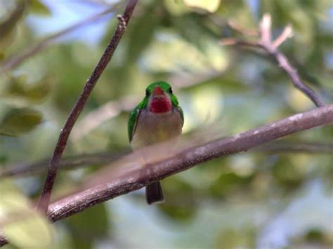 Dominican Republic wildlife tour | Responsible Travel