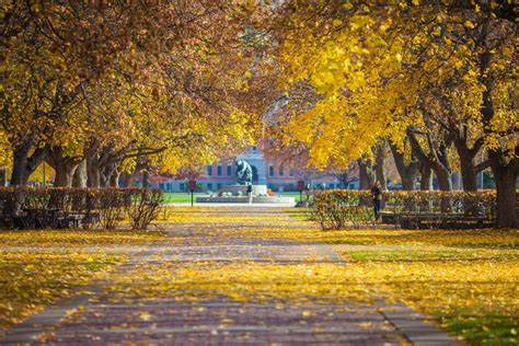 Most Beautiful College Campuses in America - University of Montana | Destination Missoula