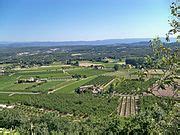 Category:Vineyards of Luberon - Wikimedia Commons