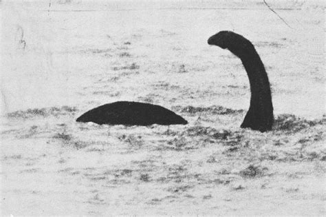 Can of Mystery: “Nessie” the Loch Ness Monster