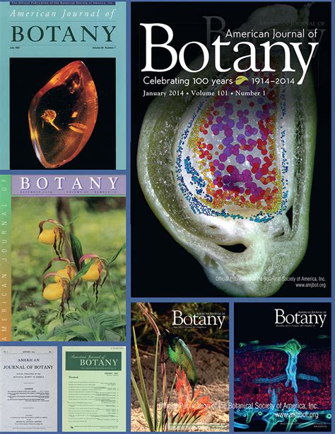 American Journal of Botany