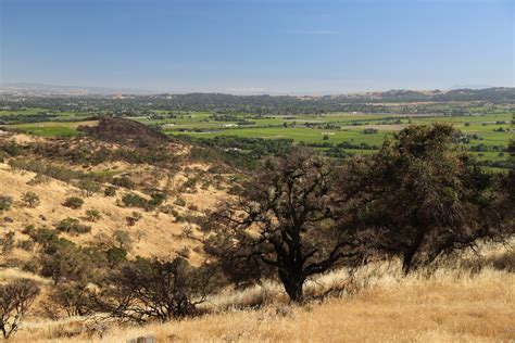 Husic Vineyards - The Napa Wine Project