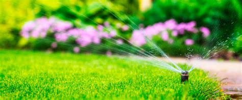 Top 5 Advantages of Installing an Automatic Irrigation System