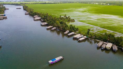 Lush green paddy fields of Kuttanad, Alleppey - Nammude Naadu