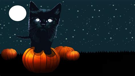 Cute Cat Halloween Wallpaper - WallpaperSafari