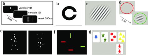 A few examples of the tasks used: (a) visual backward masking with a... | Download Scientific ...