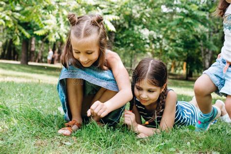 Happy Kids Playing on Green Grass in Summer Park Stock Photo - Image of child, active: 175270428