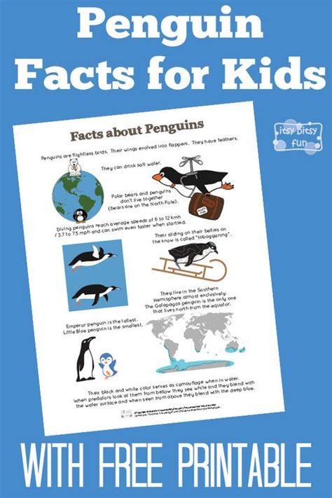 Penguin facts for kids – Artofit