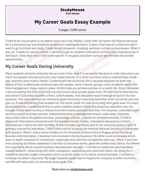 My Career Goals Essay Example Free Essay Example