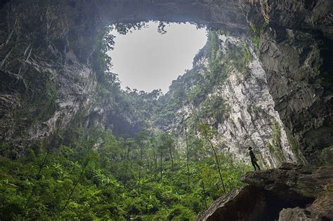 A cave so large - trees grow within it - Neatorama