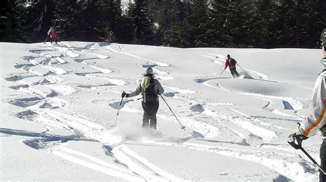 Off Piste Skiing for Beginners - How to Get Started With Powder Skiing - SkiingLab