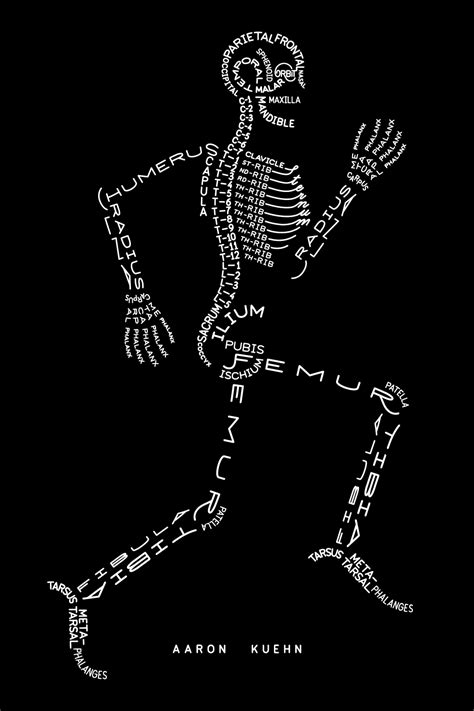 Aaron Kuehn | Skeleton Typogram