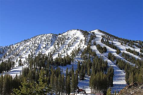 Mount Rose Ski Resort, Reno, NV Nevada Homes, Where The Heart Is, Mount Rainier, Reno, Skiing ...