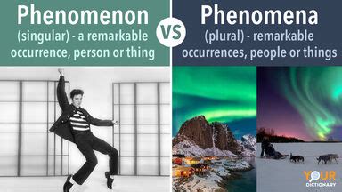 Phenomenon vs. Phenomena: Same Meaning, Different Quantity