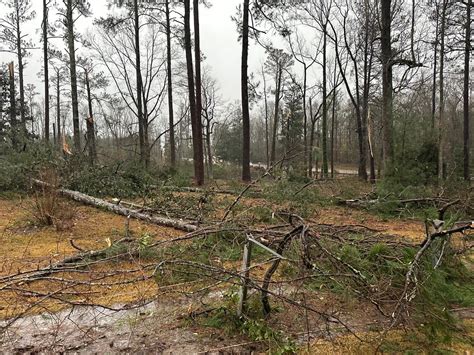 Storms leave localized damage across Georgia, Disaster Relief volunteers on scene - The ...