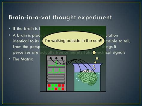 PPT - Philosophy and the Brain PowerPoint Presentation, free download - ID:2074446