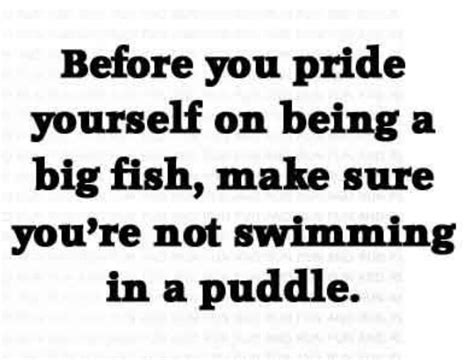 Quotes about Big fish small pond (23 quotes)