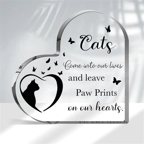 Amazon.com: Cat Bereavement Gifts, Cat Remembrance Gift, Cat Loss Gifts ...